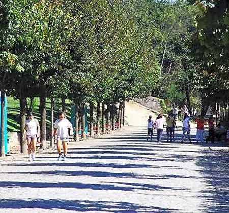 Terrace *